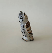 Load image into Gallery viewer, Flammulated Owl