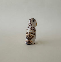 Load image into Gallery viewer, Alert Barred Owl