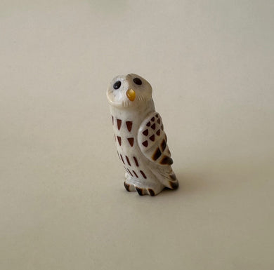 Mindful Barred Owl
