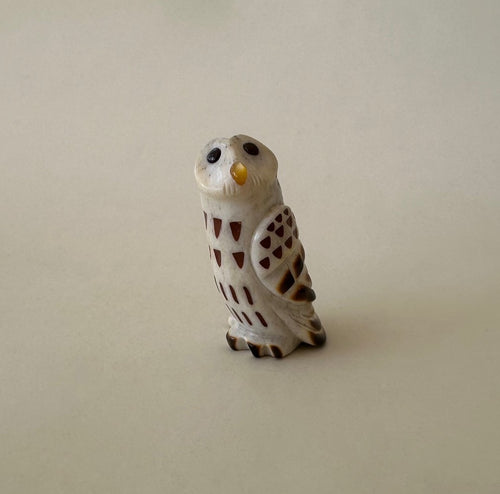 Mindful Barred Owl