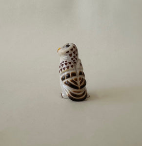 Mindful Barred Owl