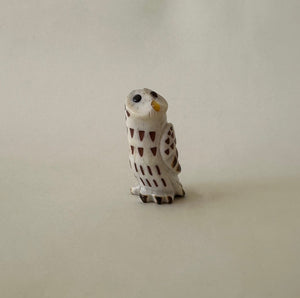 Mindful Barred Owl