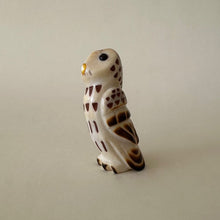 Load image into Gallery viewer, Observant Barred Owl