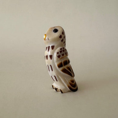Observant Barred Owl