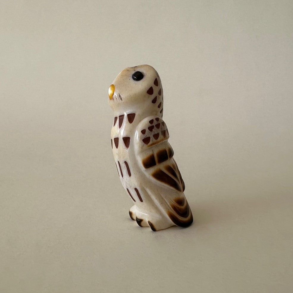 Observant Barred Owl