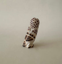 Load image into Gallery viewer, Observant Barred Owl