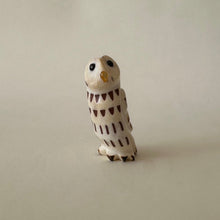 Load image into Gallery viewer, Observant Barred Owl
