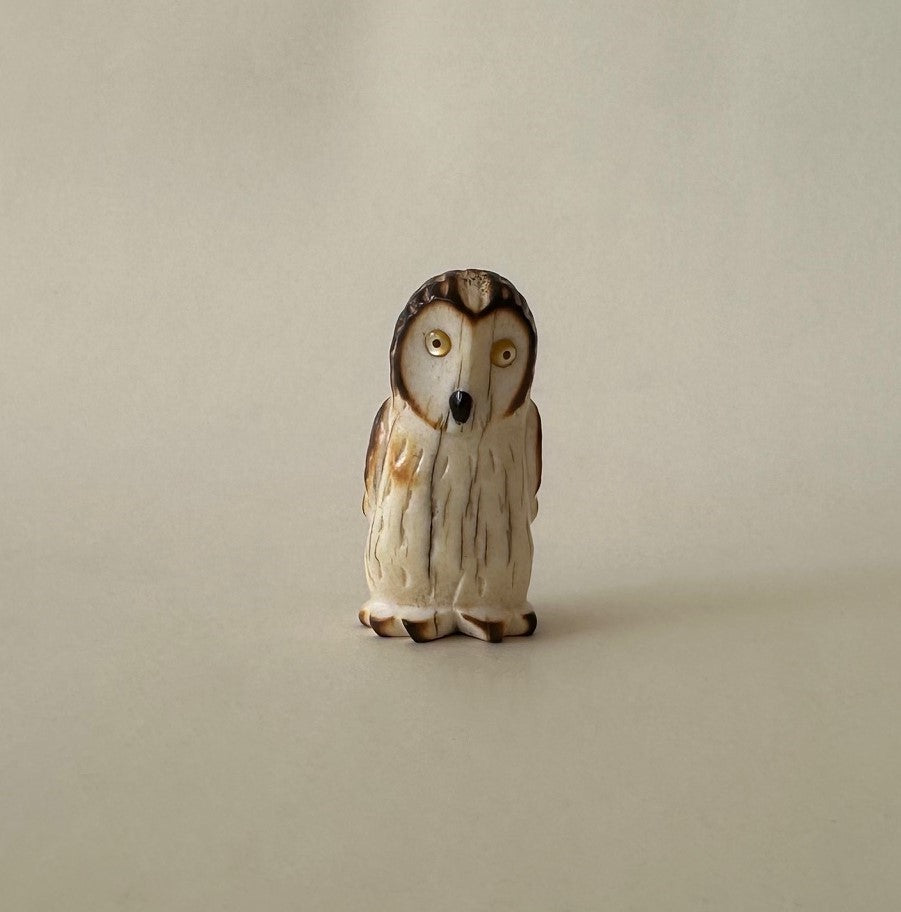Short Eared Owl