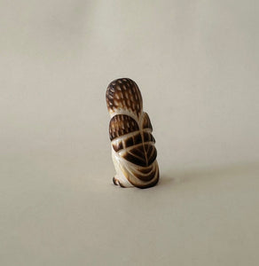 Short Eared Owl