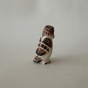 Open Country Owl