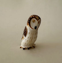Load image into Gallery viewer, Open Country Owl
