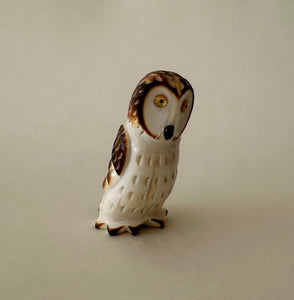 Open Country Owl