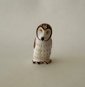 Open Country Owl