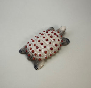 Life is Good-Sea Turtle