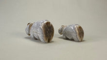 Load image into Gallery viewer, Mama &amp; Kitten Wildcats