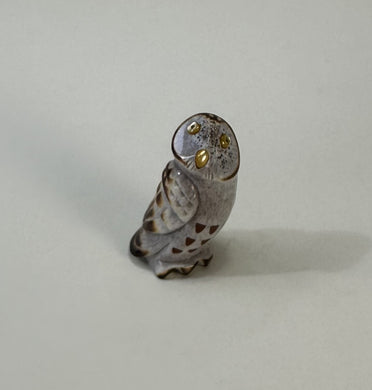 Burrowing Owl