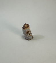 Load image into Gallery viewer, Burrowing Owl
