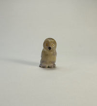 Load image into Gallery viewer, Snow Owl