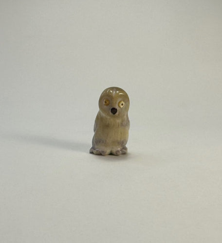 Snow Owl