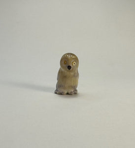 Snow Owl