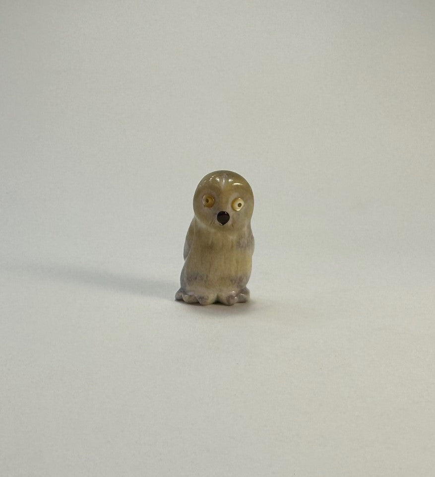 Snow Owl