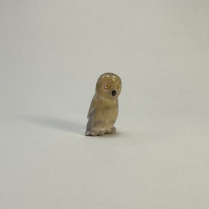 Snow Owl