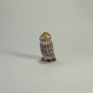 Northern Pygmy Owl #1