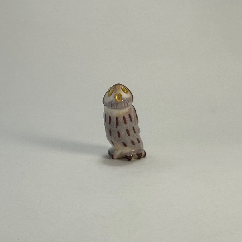 Northern Pygmy Owl #1