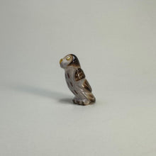 Load image into Gallery viewer, Northern Pygmy Owl #1