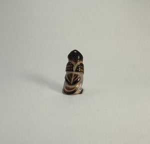 Northern Pygmy Owl #1