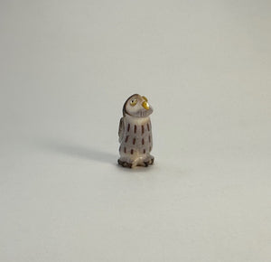Northern Pygmy Owl #1