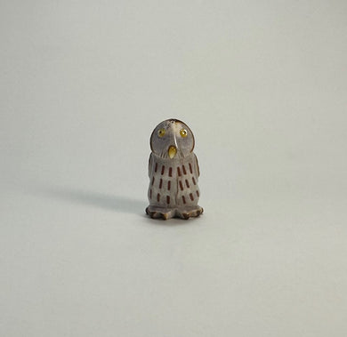 Northern Pygmy Owl #2