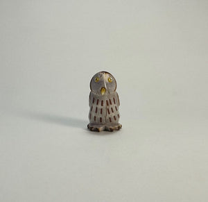 Northern Pygmy Owl #2