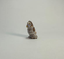 Load image into Gallery viewer, Northern Pygmy Owl #2