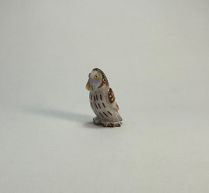 Northern Pygmy Owl #2