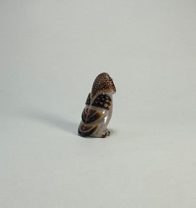 Northern Pygmy Owl #2
