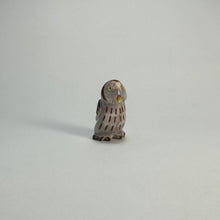Load image into Gallery viewer, Northern Pygmy Owl #2