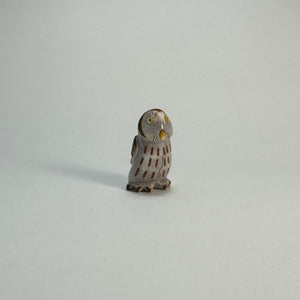 Northern Pygmy Owl #2