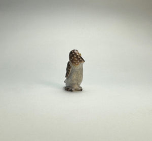 Elf Owl