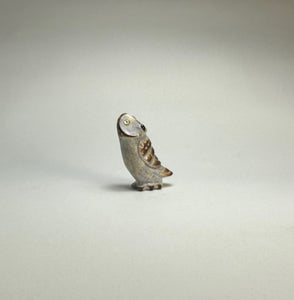 Elf Owl
