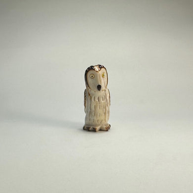 Surprised Short Eared Owl