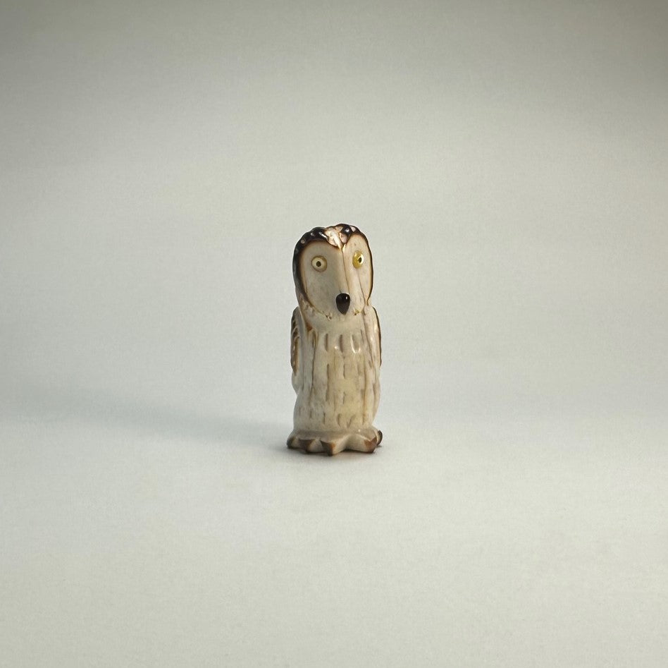 Surprised Short Eared Owl