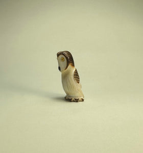 Northern Saw-Whet Owl