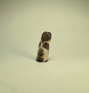 Northern Saw-Whet Owl