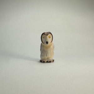 Northern Saw-Whet Owl