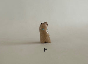 Mini Bears Group# 3