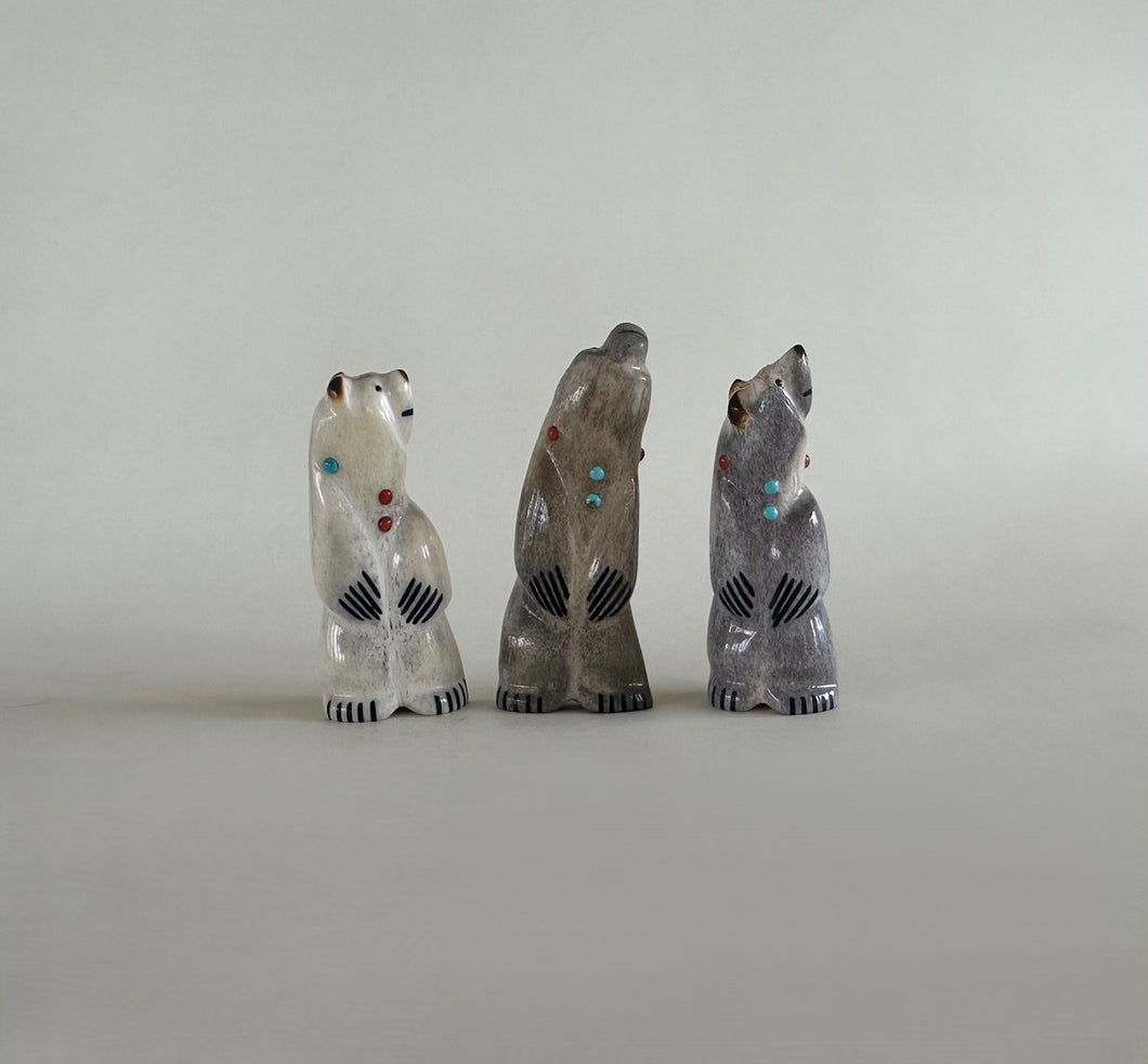 Mini Bear Group# 7