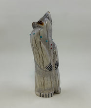 Load image into Gallery viewer, Stargazer