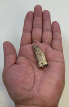 Load image into Gallery viewer, Grandmother's Blessing