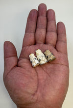 Load image into Gallery viewer, Kindred Spirits